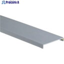 PANDUIT G・F・FS・Dタイプ配線ダクト用カバー ライトグレー 6FT(フィート) 1本 C4LG6 20本 ■▼731-1851 【送料都度見積】※車...