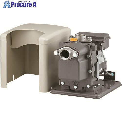 日立 非自動ビルジポンプ 60Hz 単相100V B-P100X6 1台 ■▼855-0492 【送料都度見積】