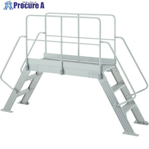 ハセガワ オーバーブリッジ 1015a型 DG-1015A 1台 ■▼116-5162【代引決済不可】【送料都度見積】※車上渡し※個人宅様送り不可