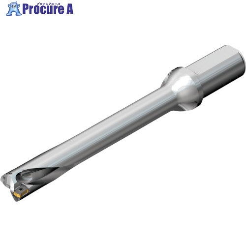 SANDVIK ɥDS20򴹼ɥ(465) DS20-D3332LX38-07 (465) 1 216-0968 ...