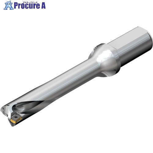 SANDVIK ɥDS20򴹼ɥ(465) DS20-D3967LX38-05 (465) 1 216-0982 ...