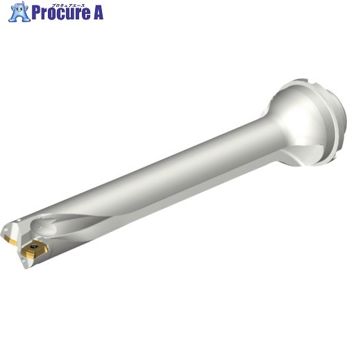 SANDVIK ɥDS20򴹼ɥ(465) DS20-D3332DM40-07 (465) 1 216-2578 ...