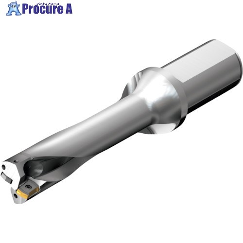 SANDVIK ɥDS20򴹼ɥ(465) DS20-D3810LX38-04 (465) 1 216-4113 ...