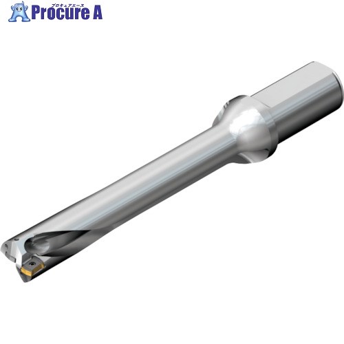 SANDVIK ɥDS20򴹼ɥ(465) DS20-D3175LX38-06 (465) 1 216-5685 ...