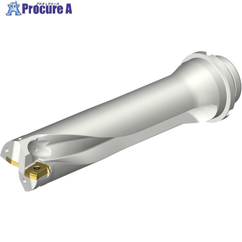 SANDVIK コロドリルDS20刃先交換式ドリル(465) DS20-D4900DM50-04 (465) 1本 ■▼339-0978 【送料都度見積】 ●KO521