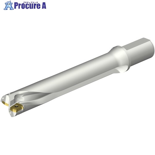 SANDVIK コロドリルDS20刃先交換式ドリル(465) DS20-D4100L40-06 (465) 1本 ■▼350-9379 【送料都度見積..