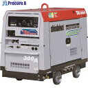 新ダイワ エンジンTIG溶接機(オイルガード付) DGT300MC-W 1台 ■▼494-7878 【送料都度見積】※個人宅様送り不可