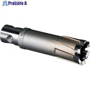 ミヤナガ 磁気ボール盤カッター デルタゴンメタルボーラー500A Φ51 DLMB50A51 1本 ■▼811-3008 【送料都度見積】