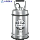 TERADA ステンレス水中ポンプ (SUS304)底水用 0.25kw 全揚程最高9m CS-250L 60HZ 1台 ▼850-8426