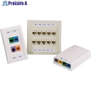 PANDUIT 熱転写ハンディプリンタ用ネットワークラベル ポリエステル 粘着剤なし 白 ラベルサイズ縦8.9mmx横66.3mm 75枚入り C261x035Y1C C261X035Y1C 10個 ■▼166-0235 【送料都度見積】
