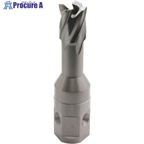 育良 LBクイックカッターISK-2QC140(ハイス刃)(54604) ISK-2QC140 1本 ▼658-5453【代引決済不可】