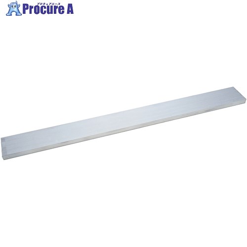 PiCa 両面使用型足場板STXD型 ショットブラストノンスリップ加工 3m STXD-303 1台 ■▼542-6880【代引決済不可】※車上渡し