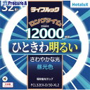 HotaluX 丸管形 3波長蛍光ランプ省電力 32W 昼光色 FCL32EX-D/30-XL2 10本 ■▼423-8057【代引決済不可】【送料都度見積】(3)