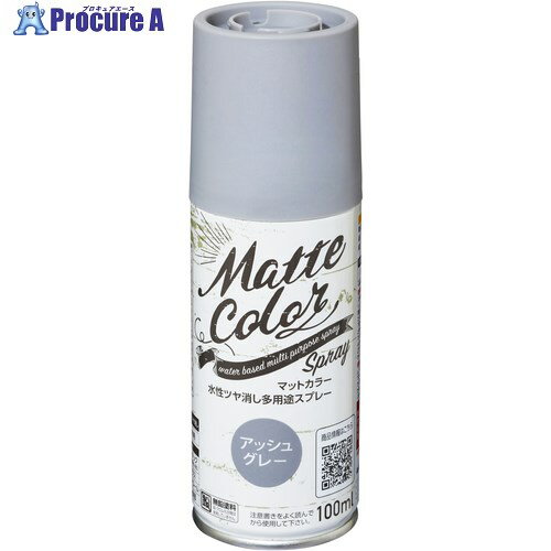 アサヒペン 水性多用途マットカラースプレー 100ml アッシュグレー 470591 1本 ■▼689-0740【送料都度見積】