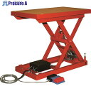 TRUSCO テーブルリフト100kg(電動Bねじ式100V)400×650mm HDL-H1046R-12 1台 ■▼160-5388