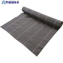 萩原 ターピー グランドバリアクロス-10(防草用シート) (透水性) 3.0m×50m GBC10(T)3050 1巻 ■▼160-9359 ※車上渡し
