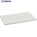 TRUSCO FS型工場用保管庫 下置き(両開き・オープン型)用追加棚板 W860XD588XH20mm FS-CT 1枚 ■▼257-7917 【送料都度見積...