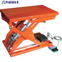 TRUSCO テーブルリフト 70kg 倍速タイプ 電動Bねじ式 200V 520×850mm HDL-L0758RT-22 1台 ■▼379-9281