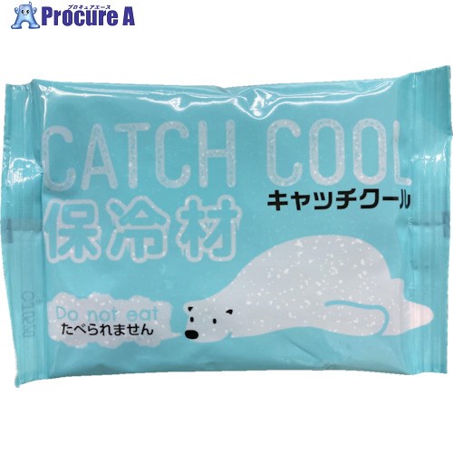 TRY 保冷剤 キャッチクール100g HC-100PL 1個 ▼411-5074【代引決済不可】