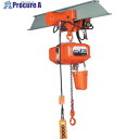 象印 FA型電気トロリ結合式電気チェーンブロック1t・6m (FAM-1 6m) FAM-01060 1台 ■▼460-7732 【送料都度見積】※車上渡し