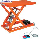 TRUSCO テーブルリフト250kg(電動Bねじ100V)600×1050mm HDL-L25610V-12 1台 ■▼464-3577