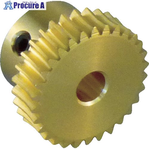 KG ウォームホイール G50B50＋R1 モジュール0.5 黄銅 G50B40+R1 1個 ▼756-4686【代引決済不可】