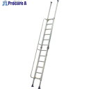 アルインコ HBW用追加手摺 3.18m HBWT1 1組 ■▼851-5053【代引決済不可】【送料都度見積】※個人宅様送り不可