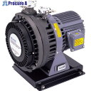 アルバック スクロール型ドライ真空ポンプ DIS-501_1φ100-230V DIS-501_100-230V 1台 ■▼617-0015 【送料都度見積】※...