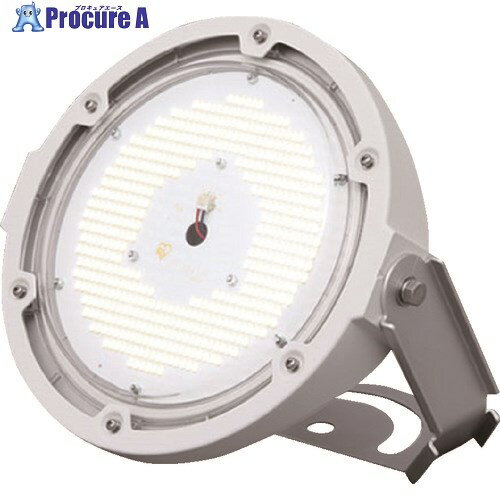IRIS 273558 高天井用LED照明 投光器タイプ 20000lm 昼白色 (5000) 防塵