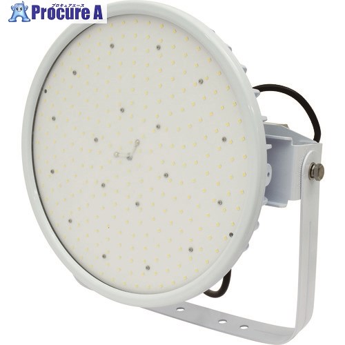 NICHIDO ハイディスク300W 電源装置一体型 昼白色 投光器型 ワイド L300V2-D-HW-50K 1台 ■▼162-2064