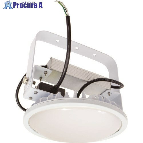 NICHIDO ハイスペックハイディスク100W 昼白色 吊下げ型 乳白ワイド L100V2-P-HMW-50K-N 1台 ■▼195-4997