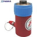 RIKEN 単動式油圧シリンダー ストローク50mm VCカプラ付 MC2-50VC 1台 ■▼819-9926 【送料都度見積】