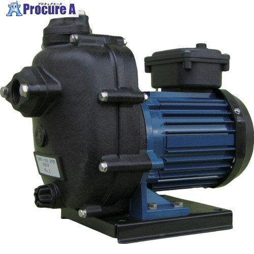 TERADA セルプラテクポン 単相100V 全閉外扇屋外形モートル付 60Hz CMP2-60.4R 60HZ 1台 ■▼406-4721