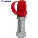 CEJN 検圧ニップル G1/4メネジ プラスチックキャップ付 10-359-1206 10個 ■▼683-0951 【送料都度見積】