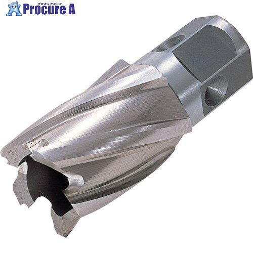 日東 ハイブローチ ワンタッチタイプ 16X25L 16216 NO.16216 1本 ▼117-1216【代引決済不可】 ●KO521