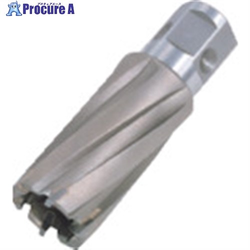 日東 ジェットブローチ ワンタッチタイプ 15X25L 16315 NO.16315 1本 ▼274-9505 ●KO521