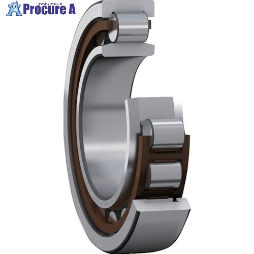 SKF ñ NU C3() 95mmX170mmX43mm NU 2219 ECP/C3 1 390-5408 ...