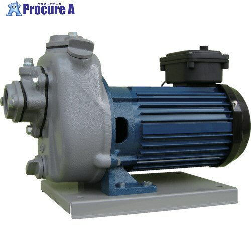 TERADA 陸上ポンプ セルプラポンプ 全閉外扇屋外形電動機付 60Hz 三相200 全揚程17.5m MPT2-0041TR 60H..