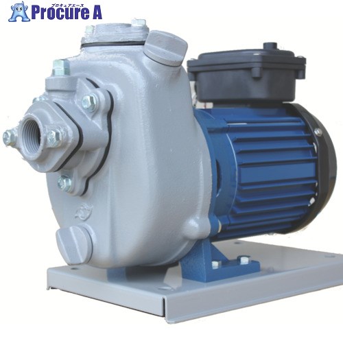 TERADA 陸上ポンプ セルプラポンプ 全閉外扇屋外形電動機付 50Hz 0.75kw 全揚程8.5m MP4N-0071R 50HZ 1..