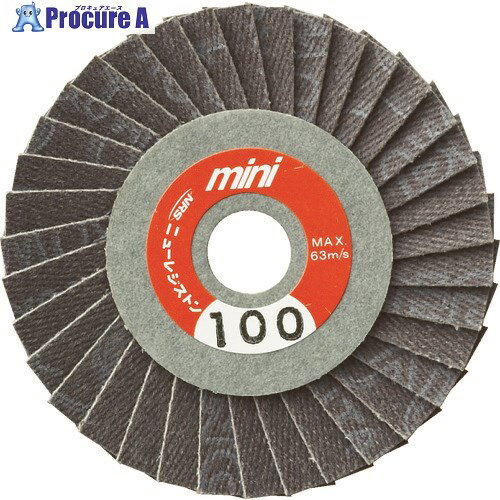 NRS ミニタイプペーパー多羽根ホイール ミニRホイル 58×10 A100 MRW58A100 5枚 ▼431-8676【代引決済不可】