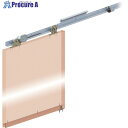 DAIKEN スライデックス傾斜レールタイプ 左引き用 扉質量10〜30kg用 HCS-3015KL 1S ■▼848-9937 【送料都度見積】※車上渡し
