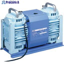 アルバック 単相100V ダイアフラム型ドライ真空ポンプ DAU-100 (コウシンクウガタ) 1台 ▼850-9583 ※車上渡し