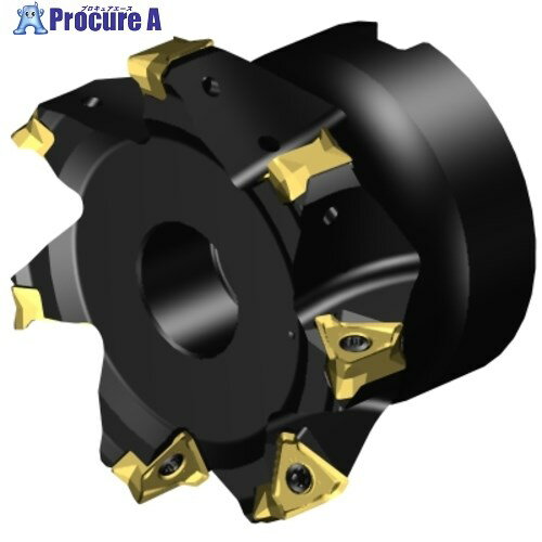 SANDVIK 肩削りカッター コロミル290(455) MS60-AR076R25-16M 1個 ■▼657-2385 【送料都度見積】 ●KO521