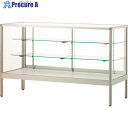 ハヤノ フォルティッシュ 平ケース シルバー プッシュ錠付 R09600S-P 1台 ■▼160-9008 【送料都度見積】