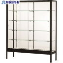 ハヤノ フォルティッシュ ハイケース マットブラック プッシュ錠付 900×450 R09455B-P 1台 ■▼160-9059 【送料都度見積】