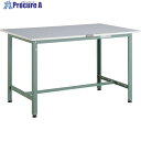 TRUSCO 軽荷重作業台(300kg)AE型 900X450XH740 基本タイプ グリーン色 RAE-0945 (リノリュームバリテンバン) 1台 ■▼23...