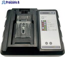 BBK 充電式真空ポンプRP-225用充電器 RP-225-CH 1個 ■▼250-0139 【送料都度見積】