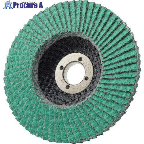 AC PGA-X フラップディスク Z PGAX10015-Z-80 10枚 ▼351-7861【代引決済不可】