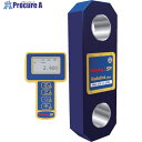 MARTEC ラジオリンク・プラス 手持ちディスプレイ付き RLP300T RLP300T 1台 ■▼819-5854 【送料都度見積】※車上渡し