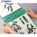 馬印 書道作品ハンガー 半紙用 G-304 20枚 ■▼391-5157【代引決済不可】【送料都度見積】